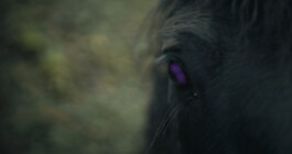 vfx, music video, design, berlin, freelancer